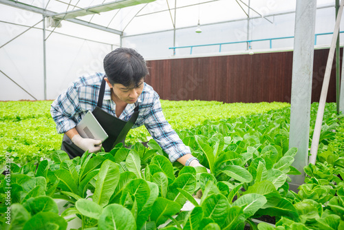 Male farmer using tablet checking quality of vegetable hydroponic at greenhouse. Concept of vegetables health food. Smart farm using technology growing business hydro produce.