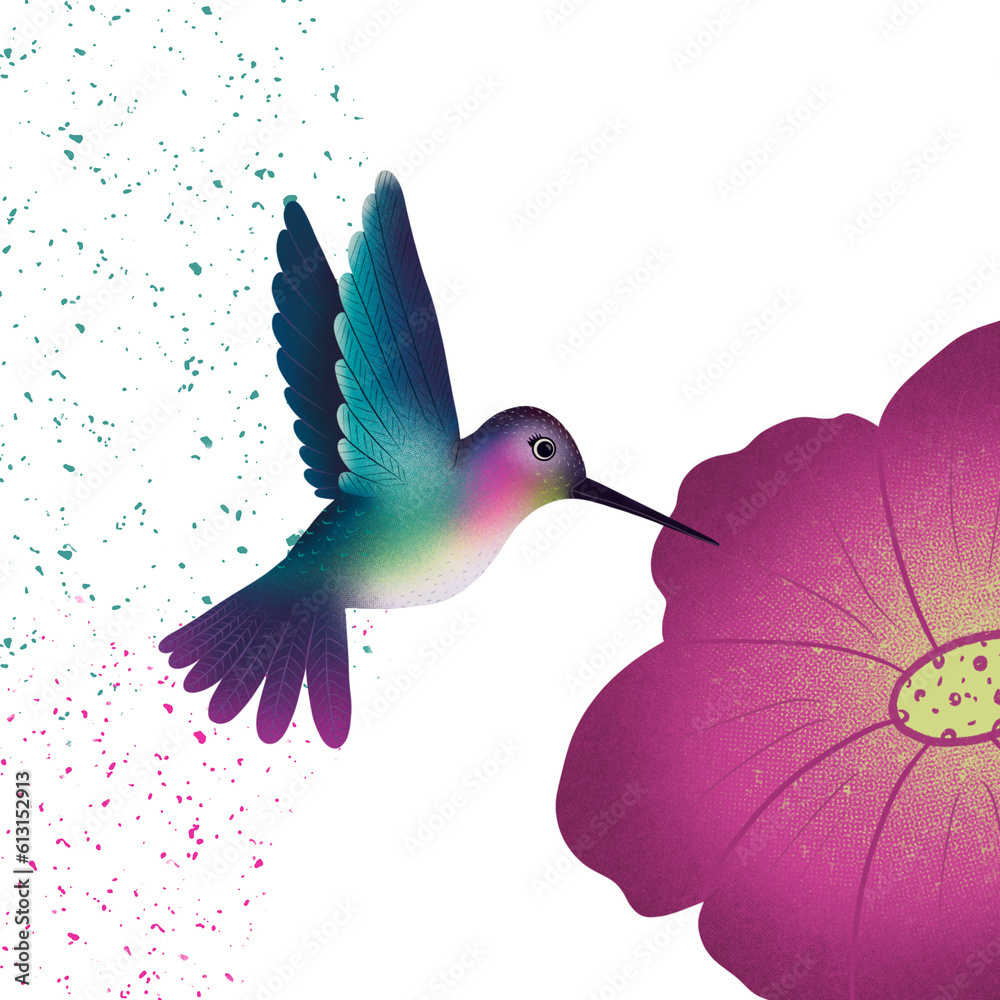 Obraz premium hummingbird and flower