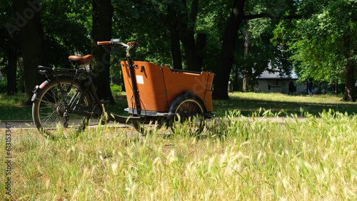 Wooden E-cargo bike parking in a park in Berlin. Bright summer day. Grass in foreground. Eco friendly nature trip.