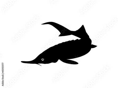 Beluga Sturgeon or Huso Fish Silhouette, Fish Which Produce Premium and Expensive Caviar, For Logo Type, Art Illustration, Pictogram, Apps, Website or Graphic Design Element. Vector Illustration
