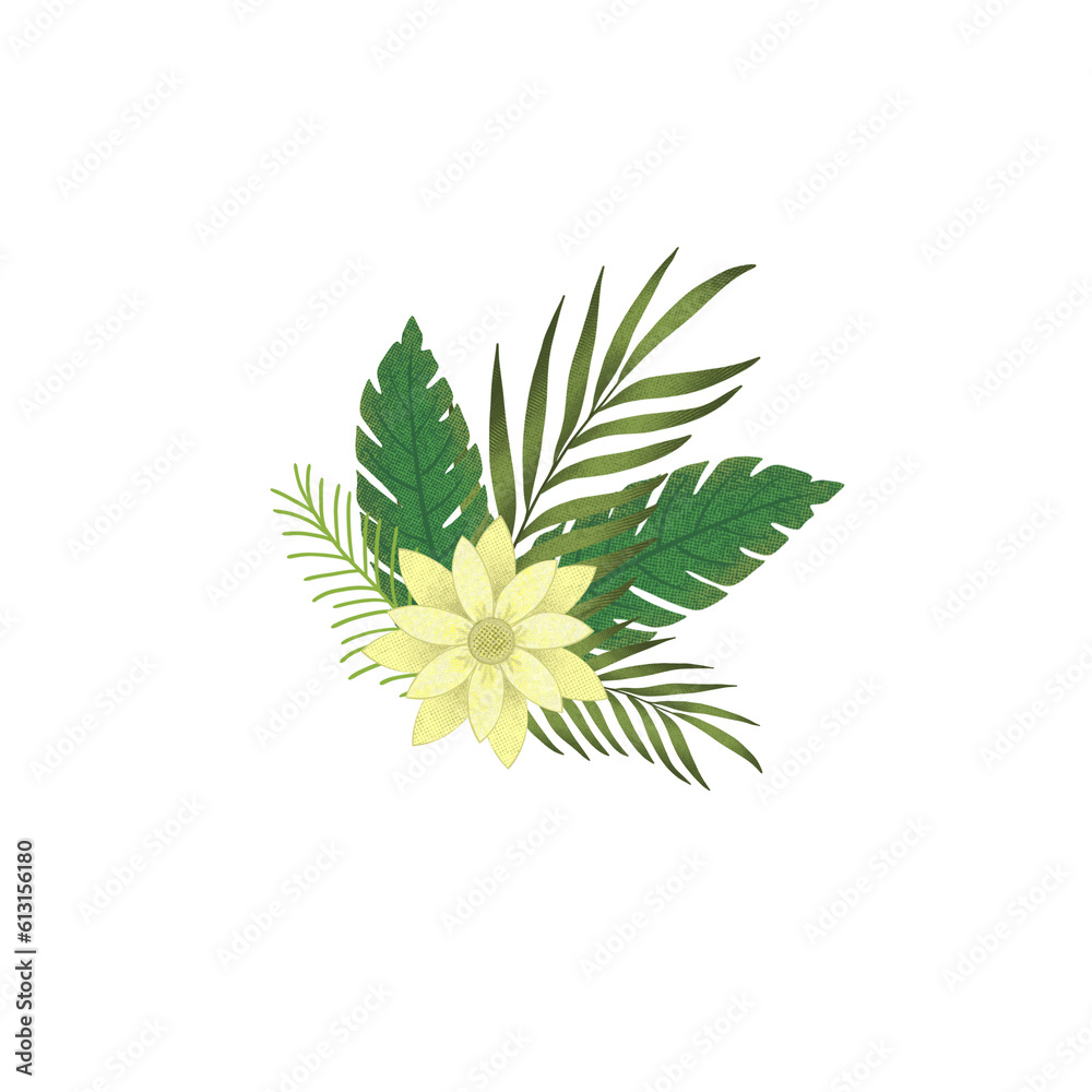 leaf isolated on white leaf isolated on white