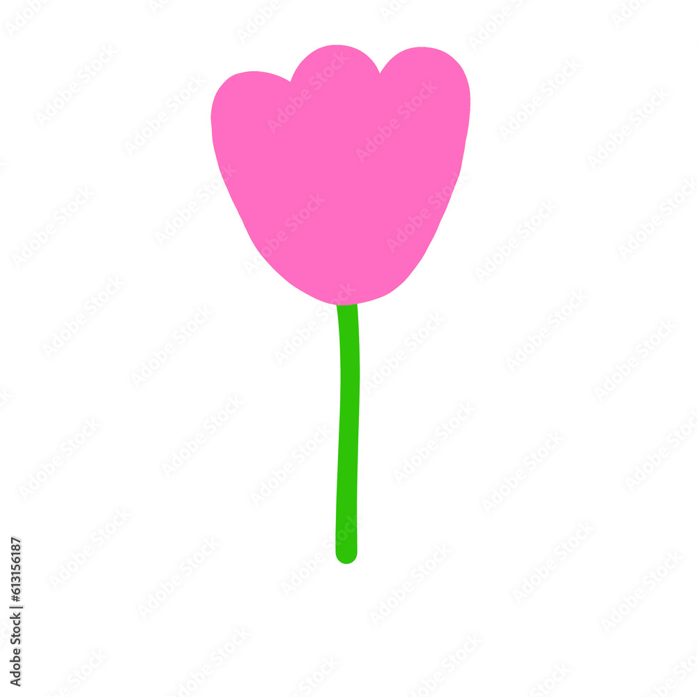 Pink tulip Pink tulip
