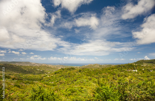 Landscape in Barbados with Caribbean Sea  Palm Tree and Blue Sky