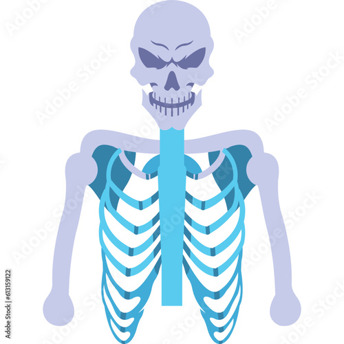 Skeleton