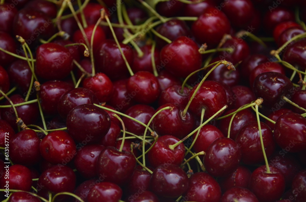 Box with red cherries. fresh harvest Box with red cherries. fresh harvest