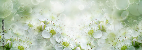Floral spring background. Apple tree flowers close up. Nature.
