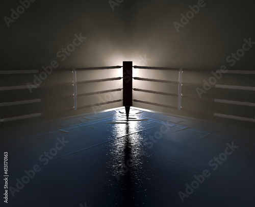 Boxing Ring Spotlight Corner © alswart