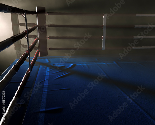 Boxing Ring Spotlight Corner
