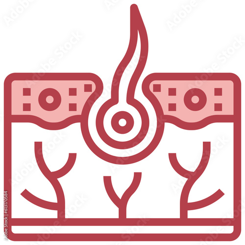 skin line icon,linear,outline,graphic,illustration