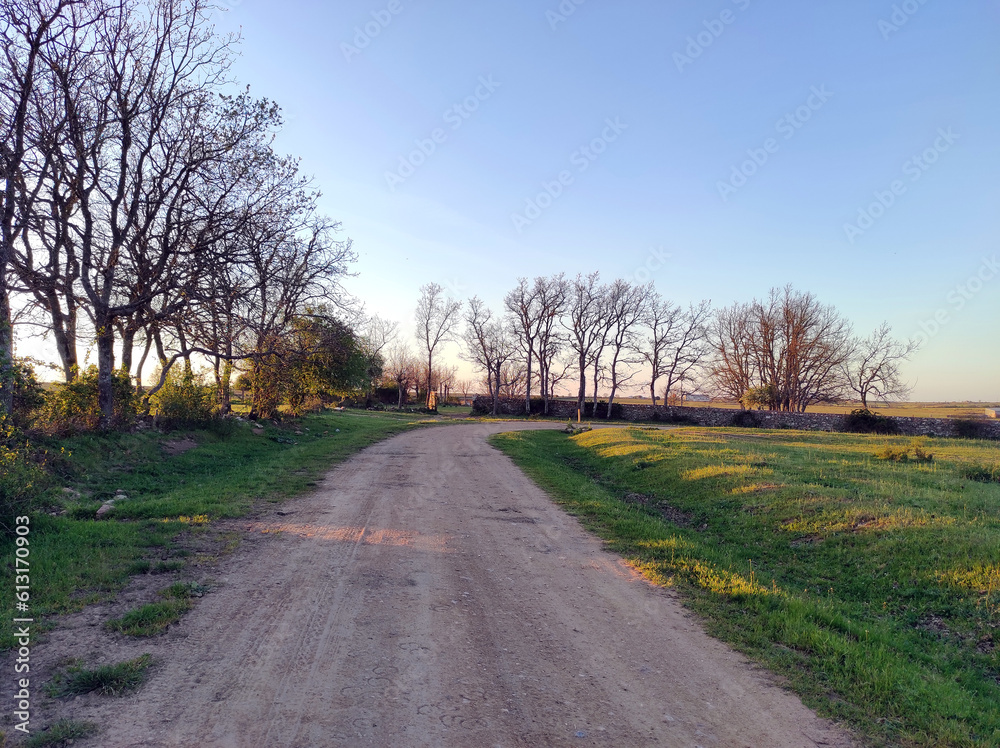 Landscape with country road in the afternoon in the countryside Landscape with country road in the afternoon in the countryside