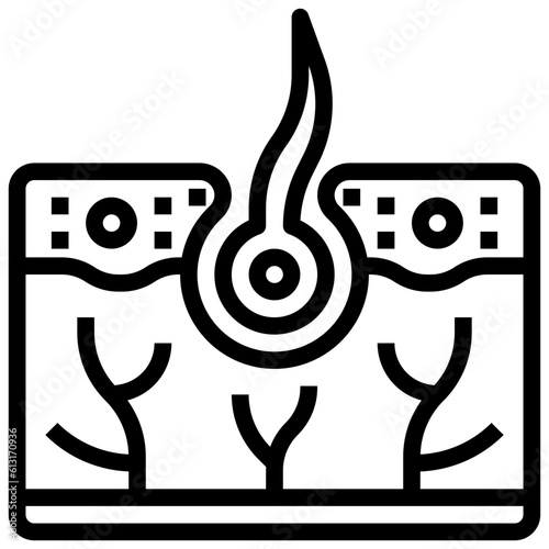 skin line icon,linear,outline,graphic,illustration