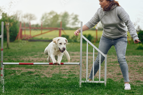 Woman mistress playing with her dog agility jumping over a hurdle obstacle