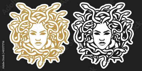 Medusa Gorgon Woman Head with snakes Vector eps 10. perfect for wallpaper or design elementsillustration  photo