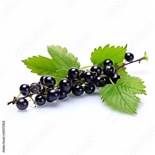 Black currant with green leaves isolated on white background. AI generated.