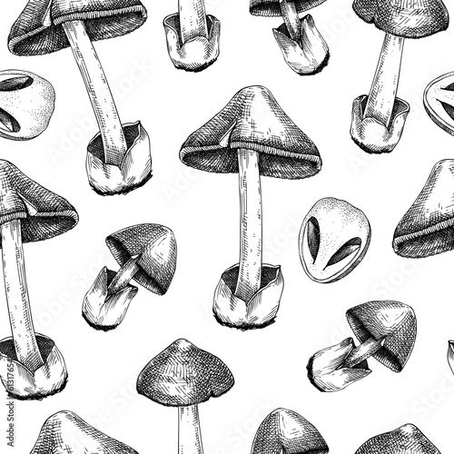 Straw mushroom texture design. Edible fungus background. Fungal protein, mycoprotein source. Edible mushroom seamless pattern. Healthy food and plant-based meat substitutes illustration for packaging