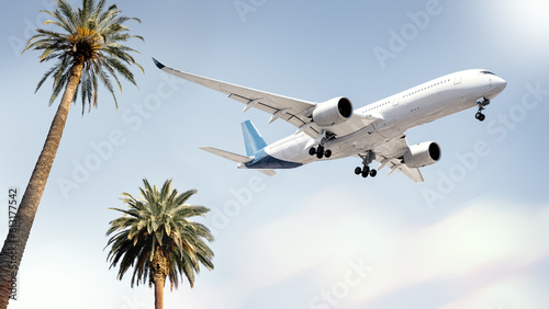 modern airliner arrives above palm trees photo