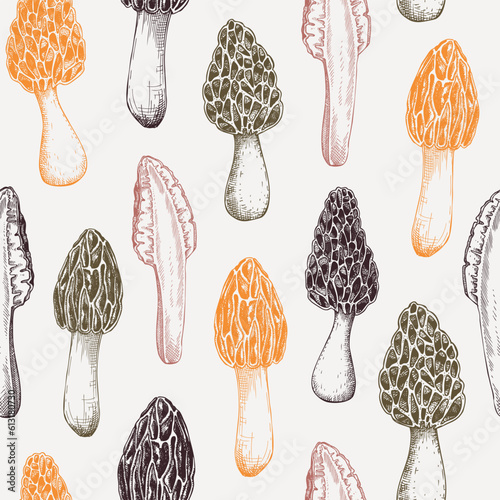 Morel mushroom background. Edible fungus seamless pattern. Morchella mushroom design in color. Fungal protein, mycoprotein source, healthy food, plant-based meat substitutes vintage illustration