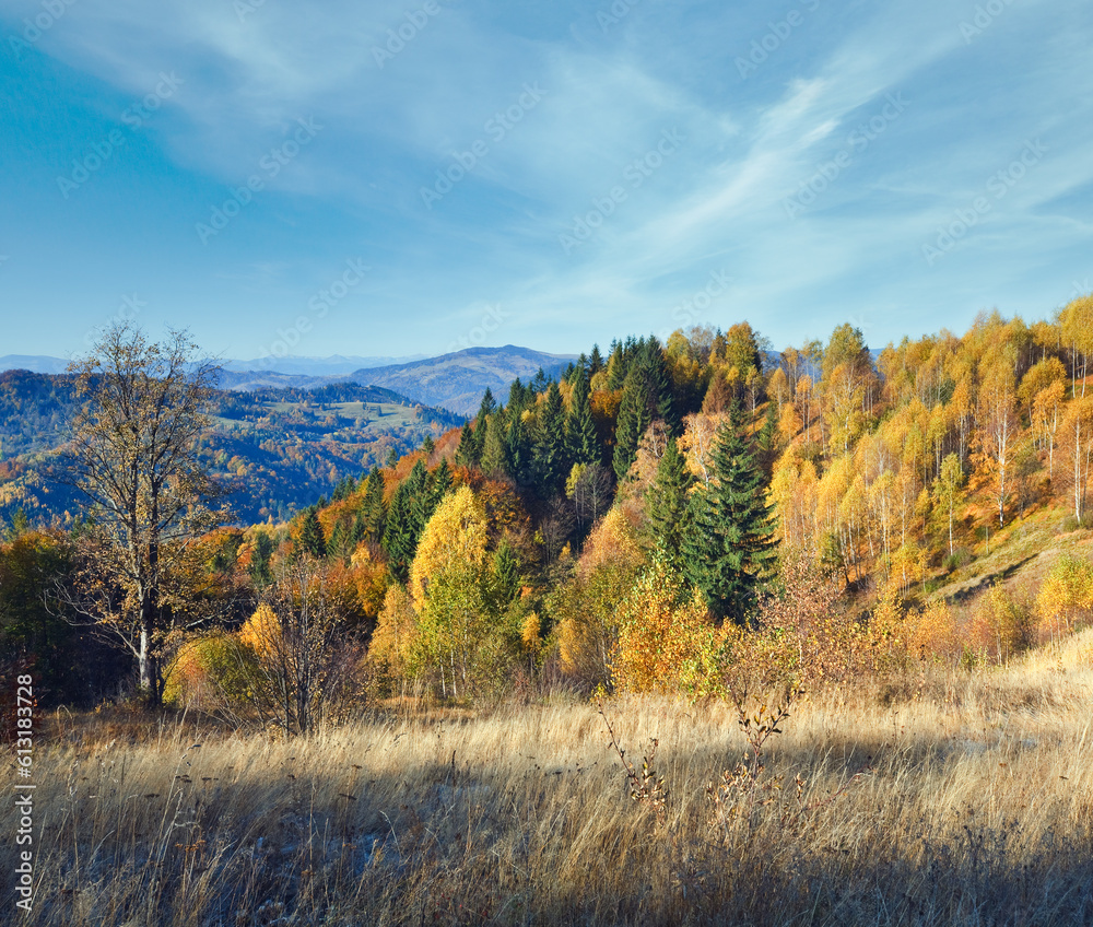 Fototapeta premium Autumn mountain Nimchich pass (Carpathian, Ukraine) and colorful trees on hill.
