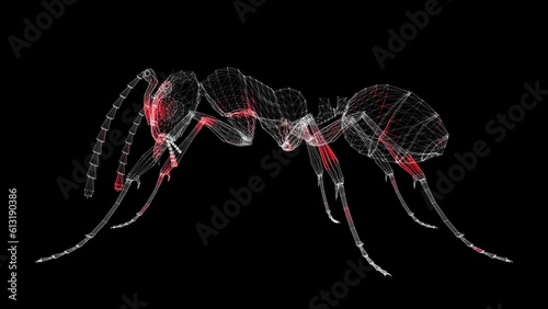 Spread of virus through 3D body of insects on black background. Spread of infection by animals and insects. Visual demonstration of virus in the body. Science Medical concept. 3D animation.