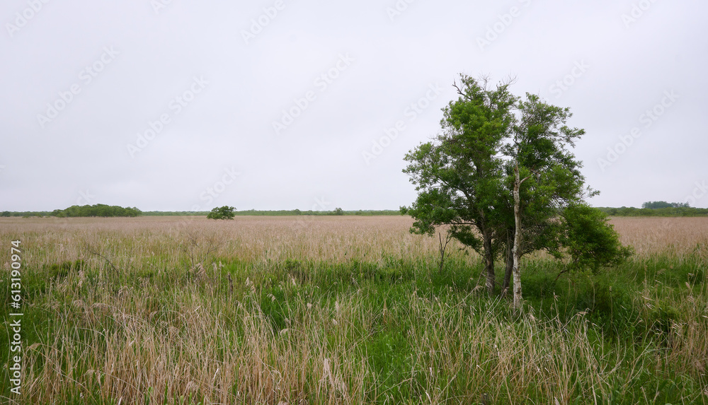 Obraz premium 勇払原野 / Yufutsu Plain