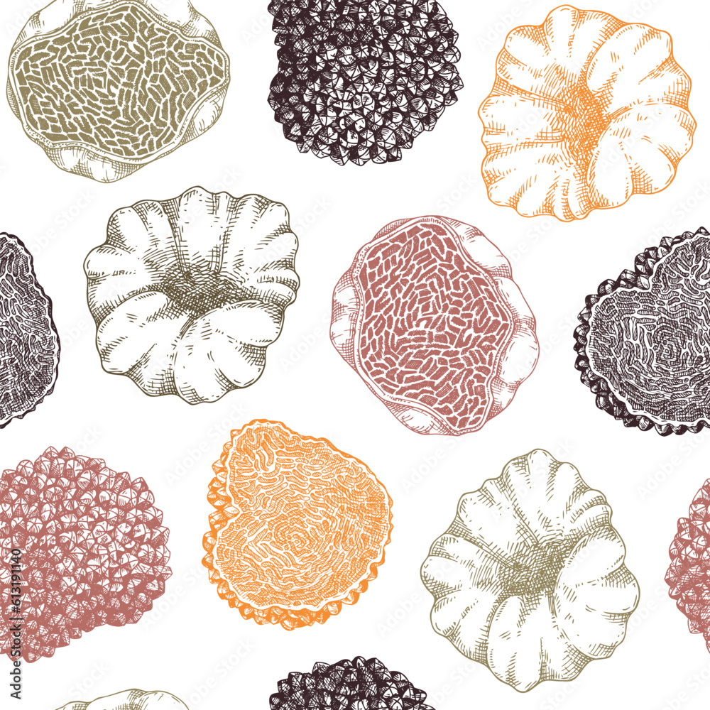 Truffle seamless pattern in color. Edible mushroom background. Forest
