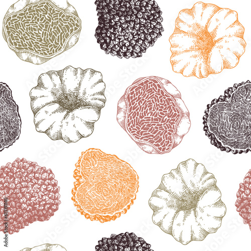 Truffle seamless pattern in color.  Edible mushroom background. Forest fungus sketch. Fungal protein, mycoprotein source. Healthy food and plant-based meat substitutes texture design