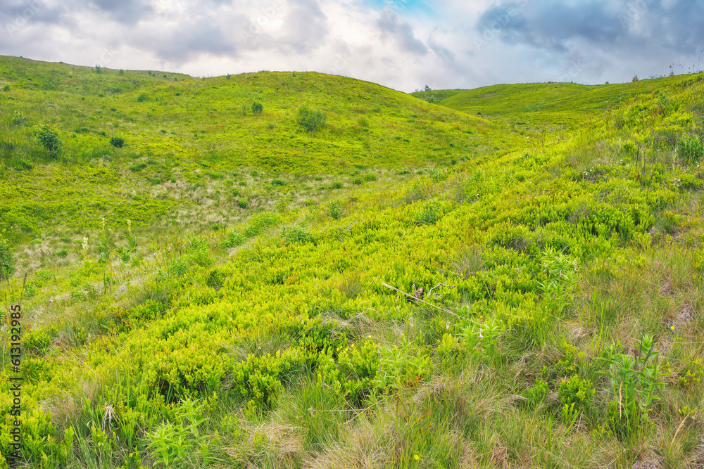 Fototapeta premium countryside scenery with meadow in mountains. grassy rolling hills beneath a cloudy sky