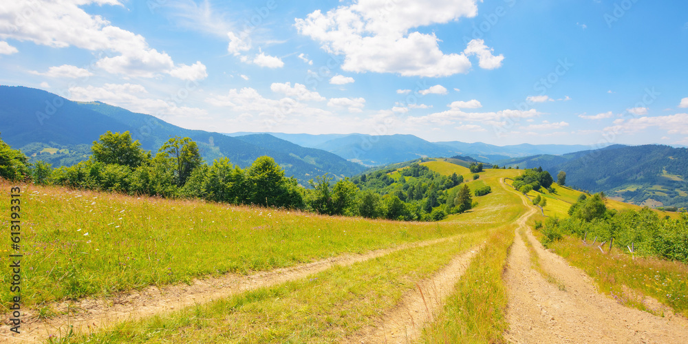 dirt road through grassy meadow. rural landscape in mountains. outdoor recreation in summer. travel ukraine