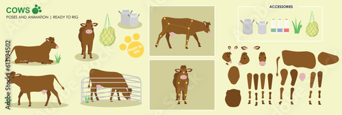 Brown cow ready to animate with multiple poses accessories. Vector file labeled ready to rig. milking cow, cow walking, standing, front, side views sitting, farm animals for animation 