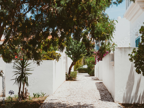 Street view with white buildings and flence, different plants in small town in Portugal photo