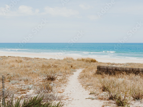 A narrow walking path to the ocean among sand dunes overgrown with grass