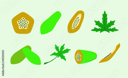 set of green leaf papaya vector illustration. create in flat vector style, and perfect for your project.