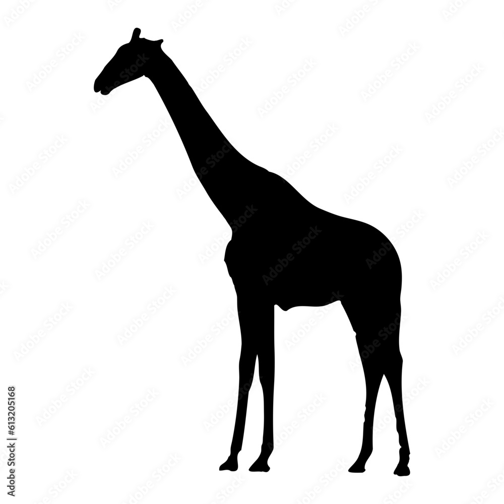 Obraz premium giraffe silhouette vector