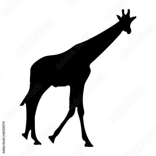 silhouette of a giraffe