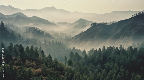 Beautiful mountain landscape with fog  Generative AI