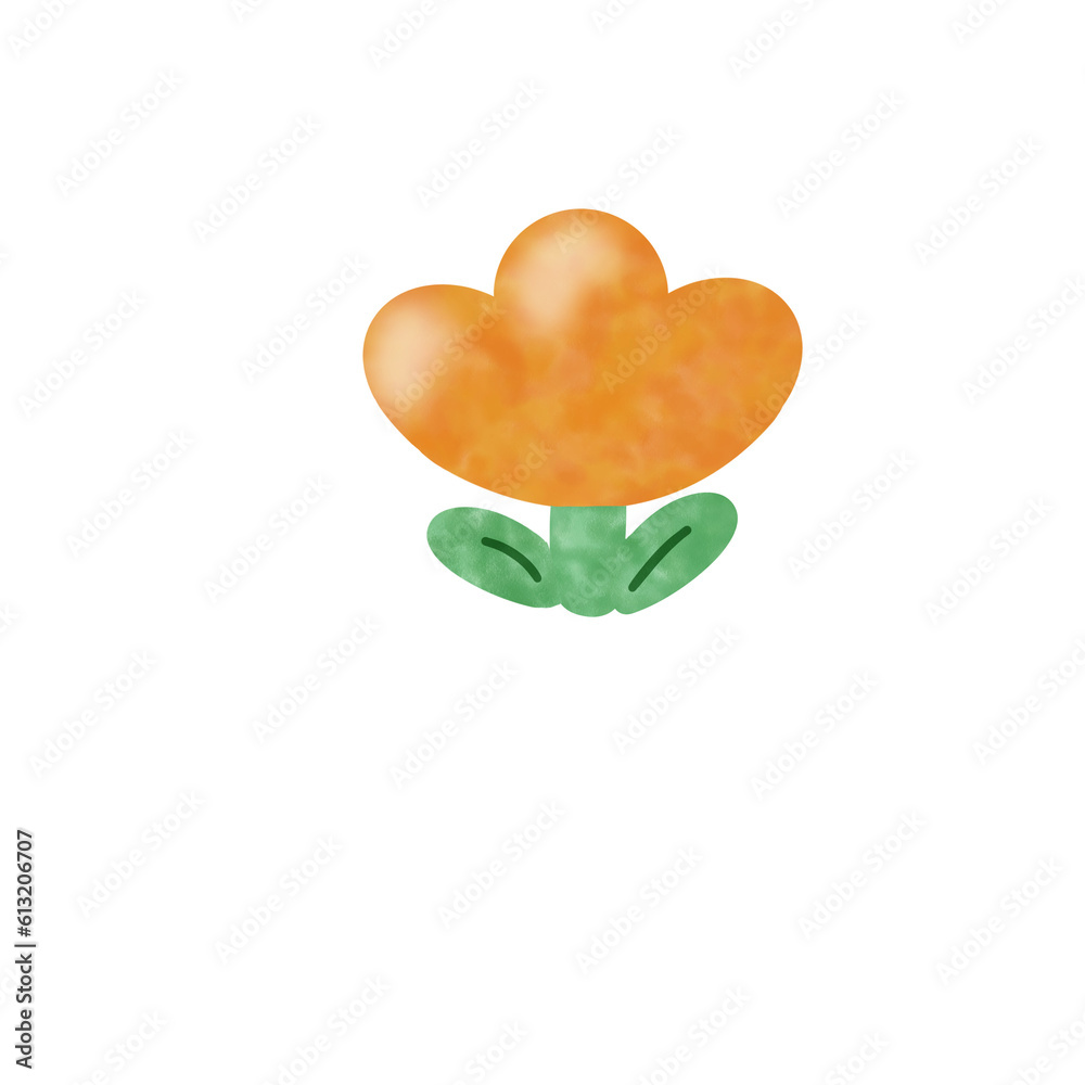 Tulip Tulip