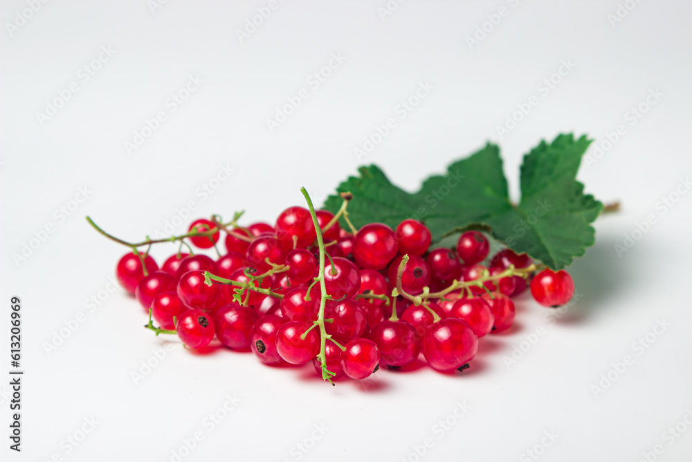 Red currant isolated on white background