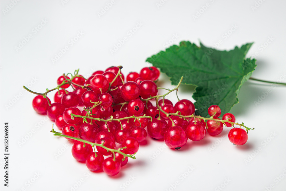 Red currant isolated on white background Red currant isolated on white background