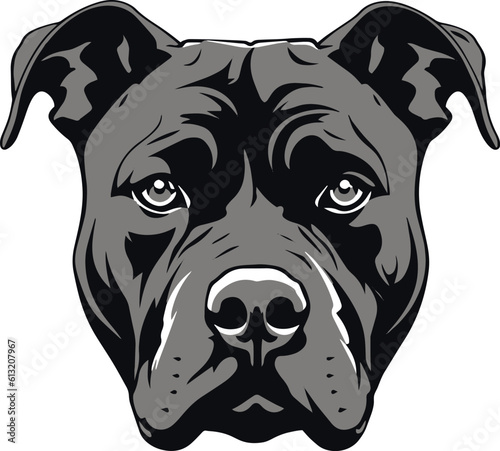 American Pitbull dog face isolated on a white background, Vector, Illustration, SVG	