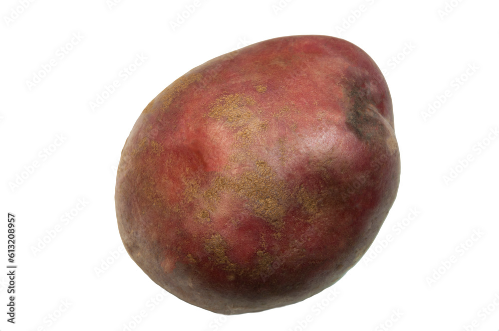 potatoes on a white background. good harvest concept. ripe potatoes on a light texture potatoes on a white background. good harvest concept. ripe potatoes on a light texture