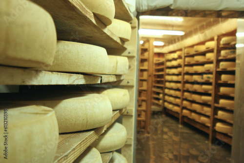 Fototapeta meules de comté