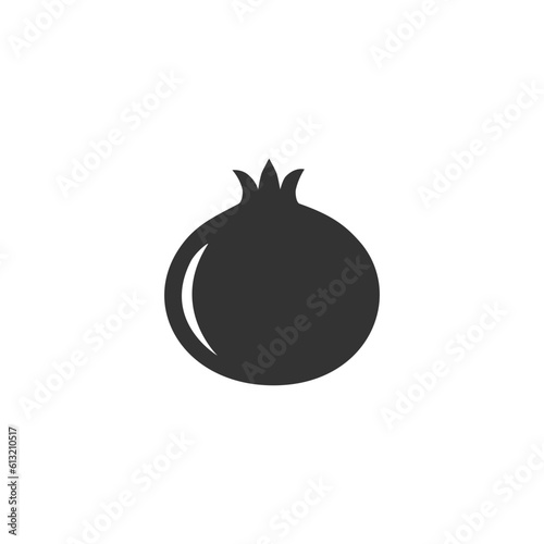 Pomegranate icon in modern flat style vector