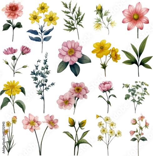 Watercolor Wildflower clip art Wildflower illustrations Nature-inspired Spring floral graphics