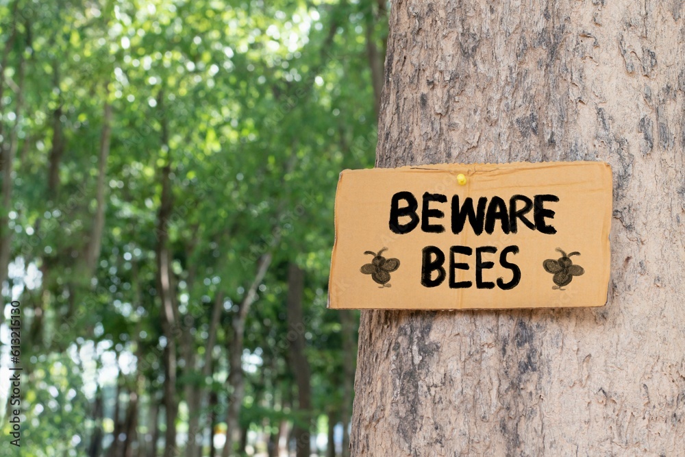 Beware Bees on paper signpost sticked on tree the public park to warn people to avoid walking or running under trees which has bees nest above, soft and selective focus.