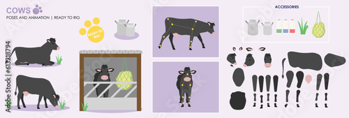 Black cow ready to animate with multiple poses accessories. Vector file labeled ready to rig. milking cow, cow walking, standing, front, side views sitting, farm animals for animation