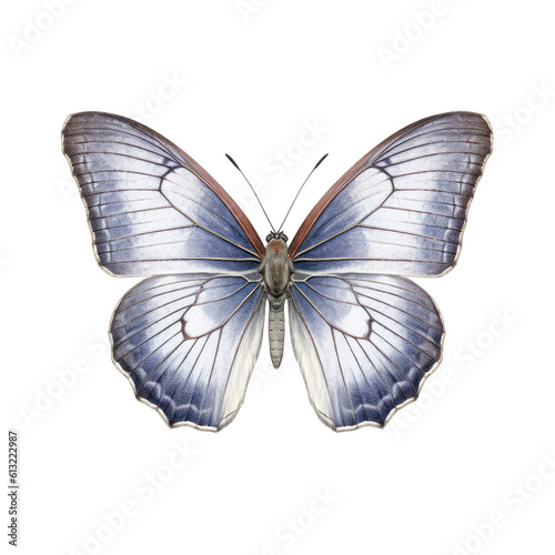 Eastern tailed-blue butterfly -  Cupido comyntas. Transparent PNG. Generative AI