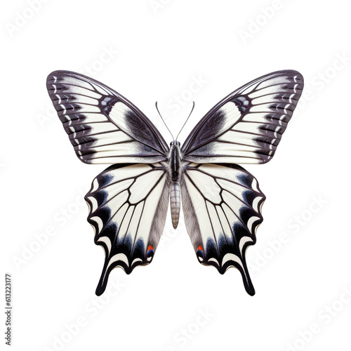 Pale swallowtail butterfly -  Papilio eurymedon 3. Transparent PNG. Generative AI