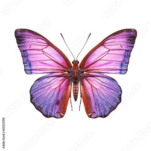 Purple hairstreak butterfly -  Neozephyrus quercus 3. Transparent PNG. Generative AI photo