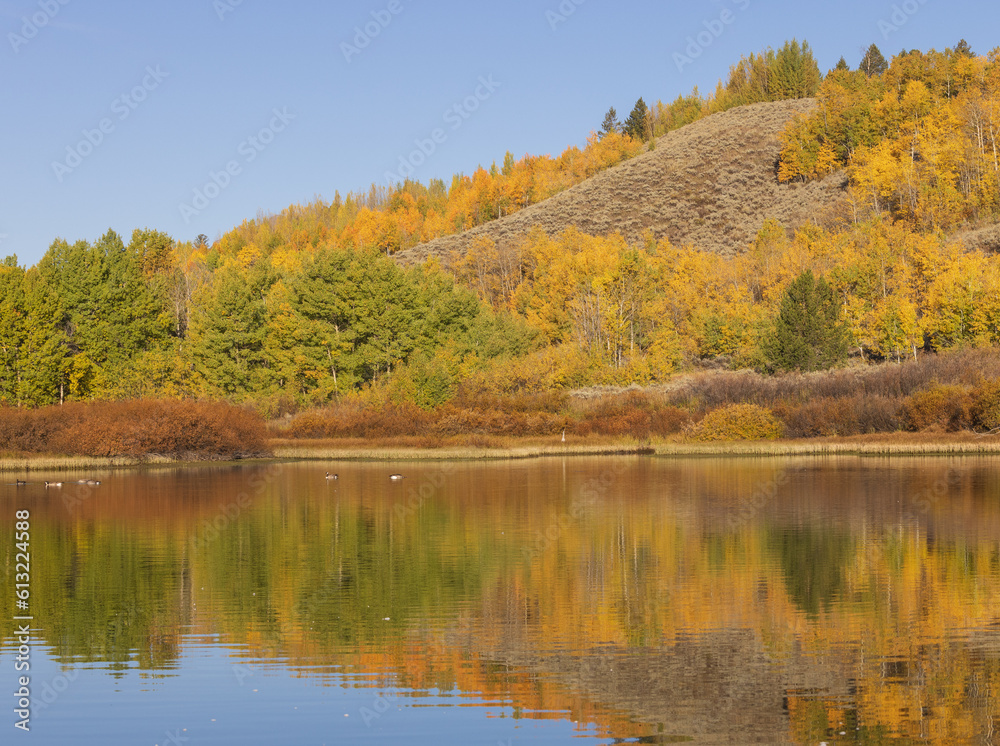 Beautiful Scenic Reflection Landscape in the Tetons in Autumn Beautiful Scenic Reflection Landscape in the Tetons in Autumn