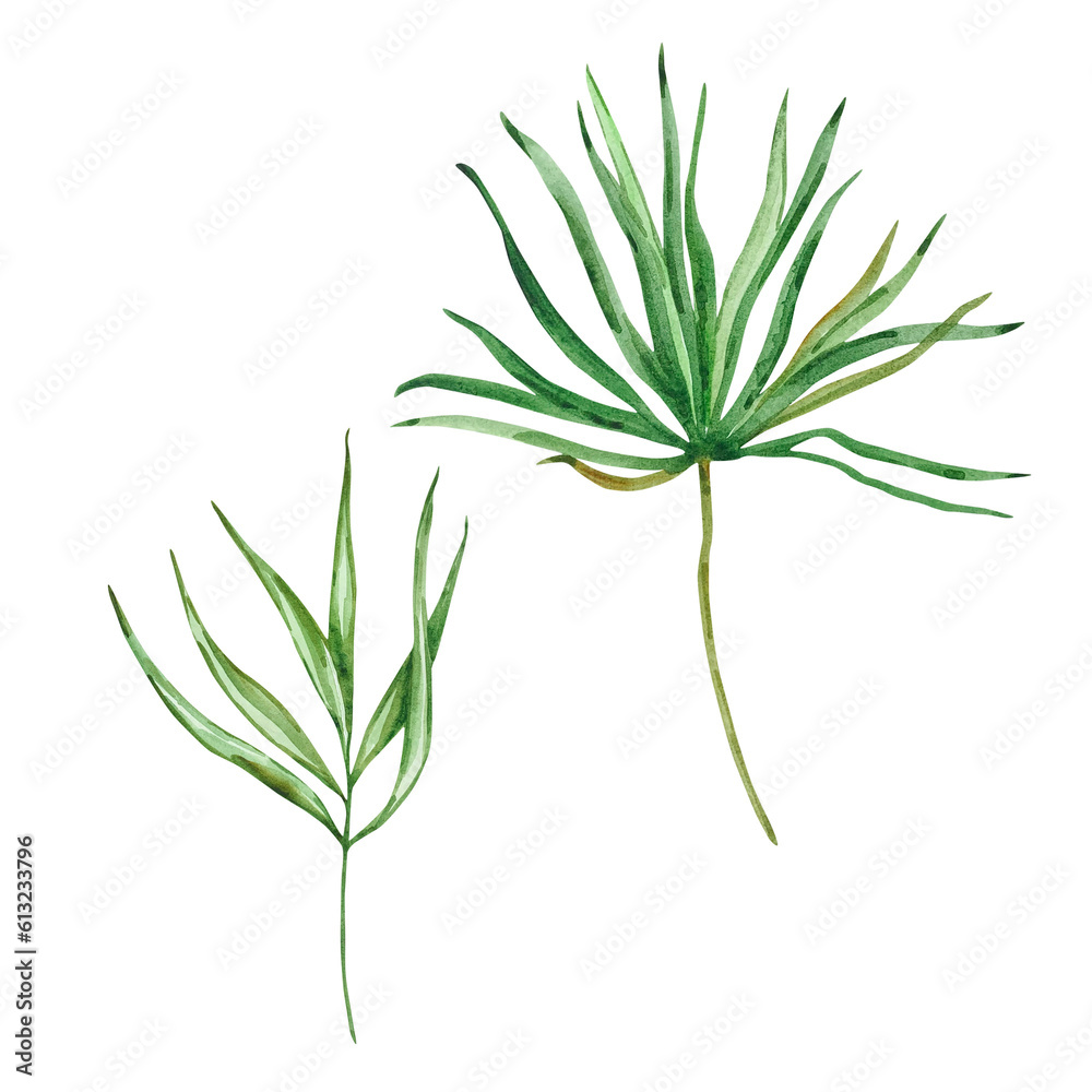 Fototapeta premium Watercolor bright green tropical leaves, for summer designs